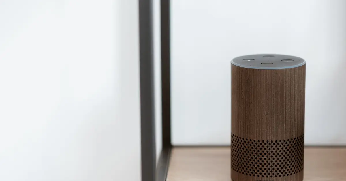 Assistant vocal et maison connectée